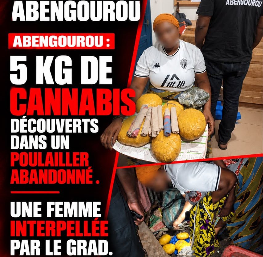 Abengourou / 5 Kg de cannabis découverts dans un poulailler abandonné, une femme interpellée