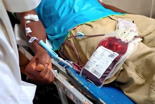 75e anniversaire du Centre national de transfusion sanguine / Plus de 300.000 poches de sang en 2025